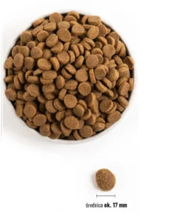 ACANA Adult large breed 22.8 kg (2 x 11.4 kg)