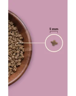 ACANA Highest Protein Kitten 1,8 kg
