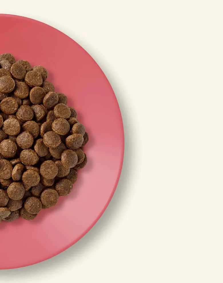 APPLAWS Adult Cat Pollo e Anatra cibo senza cereali per gatti adulti 7,5 kg