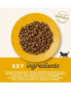 APPLAWS Cat Kitten Chicken 2,4 kg (6x400g) cibo secco per gattini con pollo