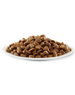 APPLAWS Cat Kitten Chicken 2,4 kg (6x400g) cibo secco per gattini con pollo