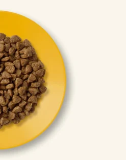 APPLAWS Kitten alimento senza cereali con pollo per gattini 2kg