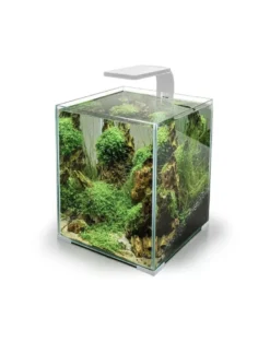 AQUAEL Leddy Smart 4,8W Sunny Day&Night lampada LED bianca per piccoli acquari