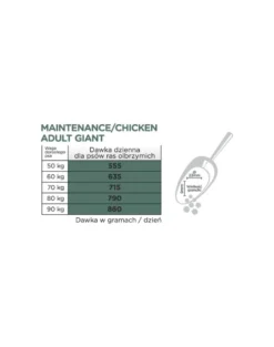 ARION Original Maintenance Adult Giant Chicken Rice 12 kg