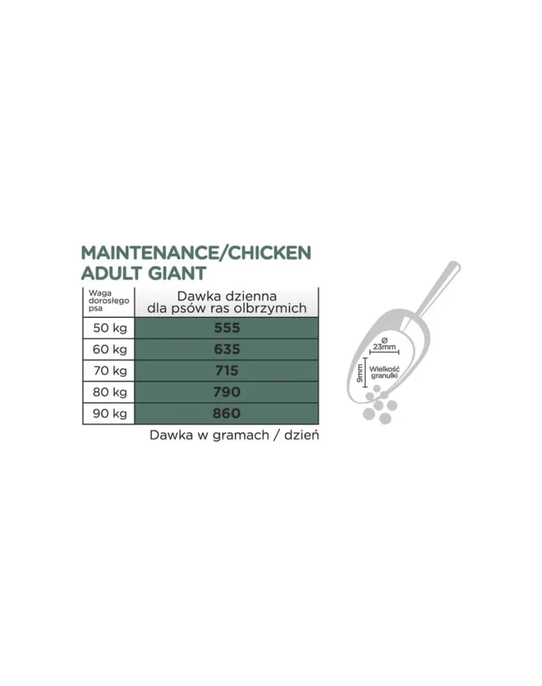 ARION Original Maintenance Adult Giant Chicken Rice 12 kg
