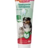 BEAPHAR Toothpaste Mint and Parsley 100 g dentifricio al gusto di menta e prezzemolo per cani e gatti