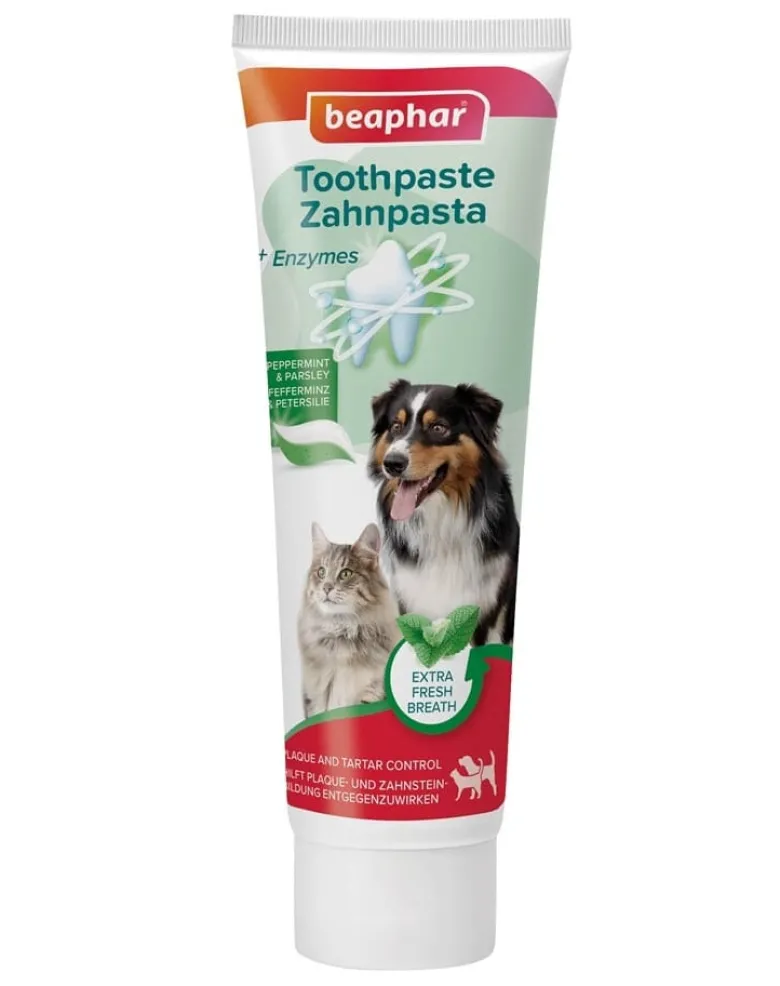 BEAPHAR Toothpaste Mint and Parsley 100 g dentifricio al gusto di menta e prezzemolo per cani e gatti