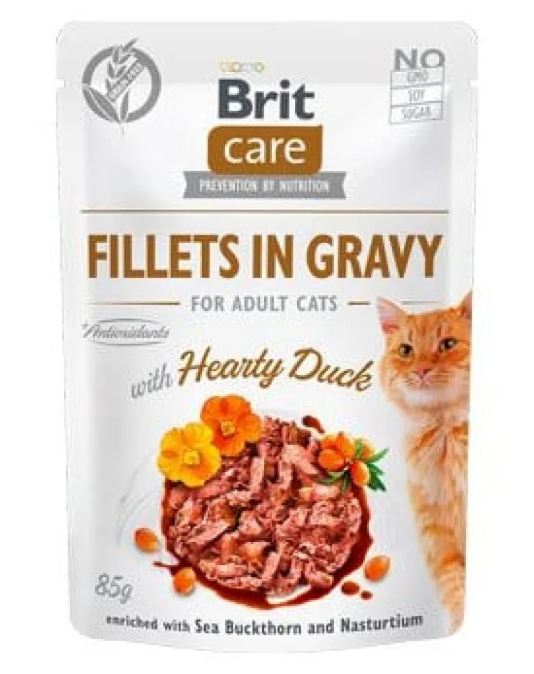 BRIT Care Filetti in salsa Tacchino e Salmone 24 x 85g