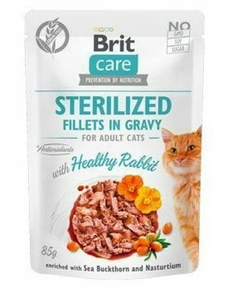 BRIT Care Filetti in salsa Tacchino e Salmone 24 x 85g