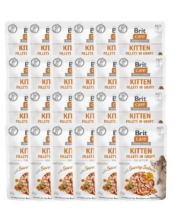 BRIT CARE Fillets in Gravy Pouch Kitten Savory Salmon 24x85g con salmone per gattini