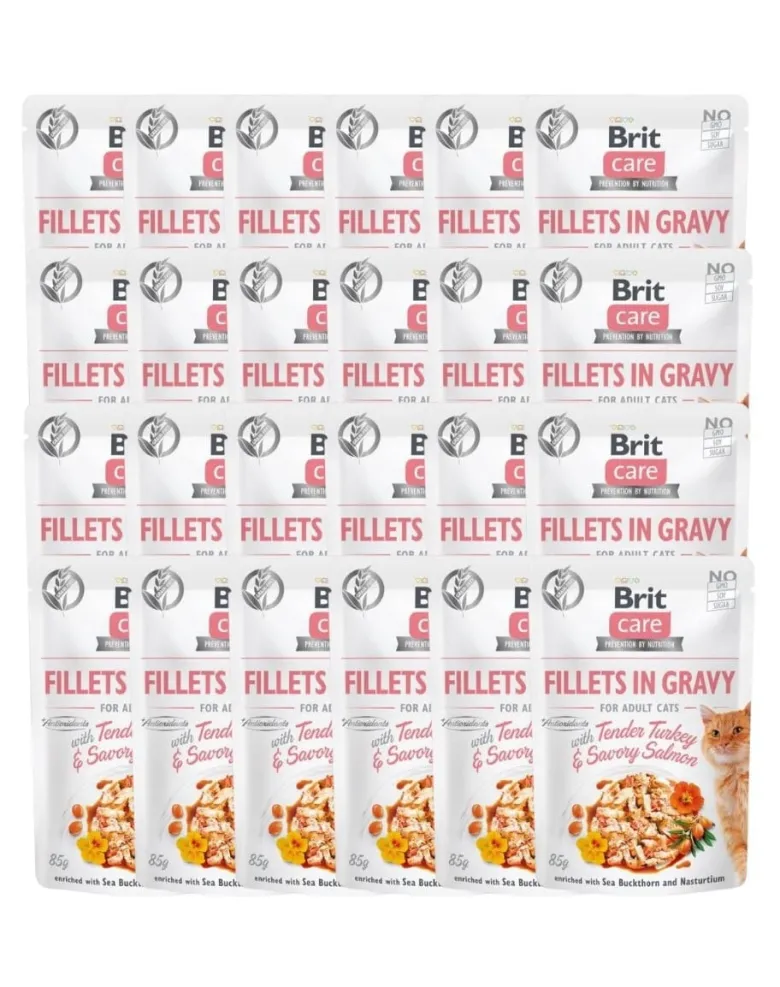 BRIT Care Fillets in gravy 24 x 85 g filetti di tacchino e salmone in salsa