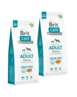 BRIT Care Grain-free Adult alimento secco al salmone 2 x 12 kg