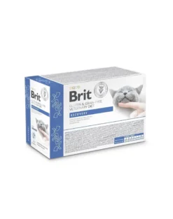 BRIT Veterinary Diet Grain Free Recovery Cat Fillets in Gravy Salmon 12x85g per gatti in fase di convalescenza