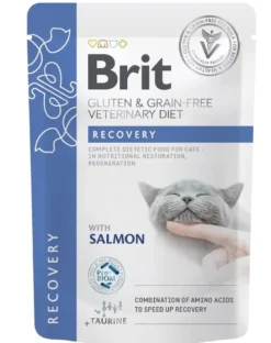 BRIT Veterinary Diet Grain Free Recovery Cat Fillets in Gravy Salmon 12x85g per gatti in fase di convalescenza