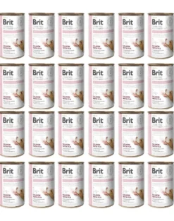 BRIT Veterinary Diet Hypoallergenic Salmon&Pea 24x400g