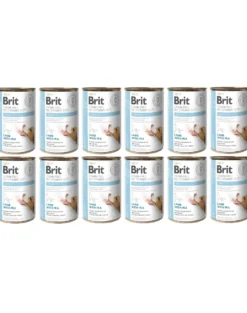 BRIT Veterinary Diet Obesity Lamb&Pea 12x400g