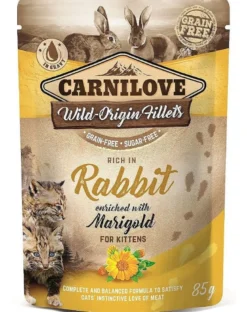 CARNILOVE Cat 24 x 85 g Fagiano e foglie di lampone