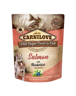 CARNILOVE Dog Paté Salmon with Blueberries Puppies 300g per i cuccioli Salmone con mirtilli