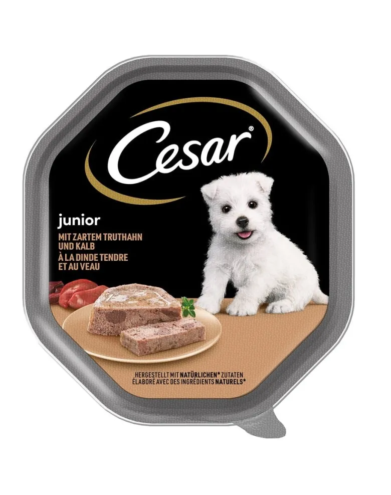 CESAR Junior in vaschetta 150g Paté con tacchino e vitello per cuccioli