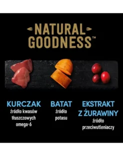 CESAR Natural Goodness Alimento umido senza cereali con carne di pollo e patate dolci, piselli e mirtilli rossi 400g