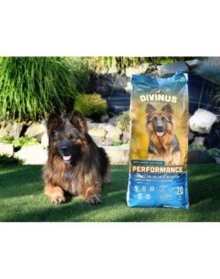 DIVINUS Performance 20 kg