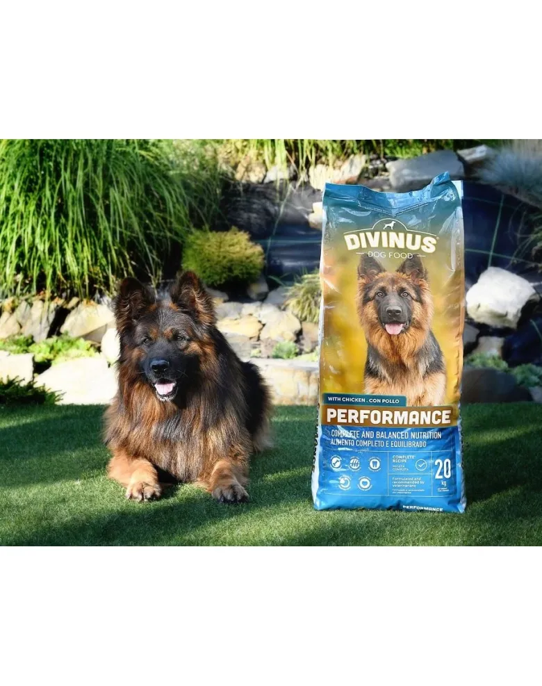 DIVINUS Performance 20 kg