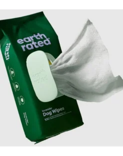 EARTH RATED Salviette Compostabili non profumate 100 pz.