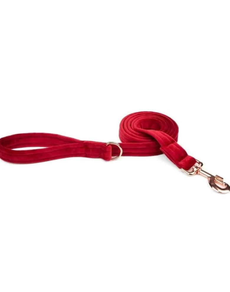 ESME FOR DOG Guinzaglio per cani in velluto ciliegia 150 cm/2 cm