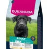 EUKANUBA Adult Large Breeds Chicken 15 kg crocchette per cani adulti di razze grandi ricche di pollo fresco
