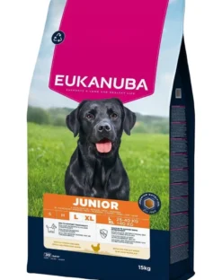 EUKANUBA Junior Large Breeds Chicken 15 kg cibo secco per cuccioli di grandi razze ricco di pollo fresco