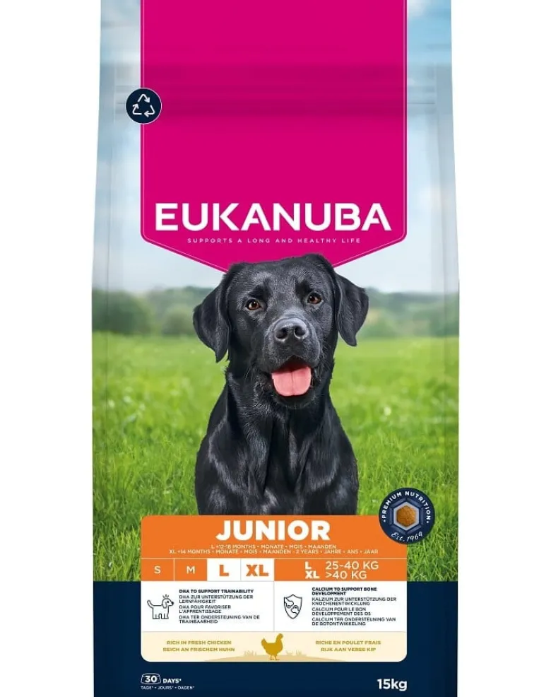 EUKANUBA Junior Large Breeds Chicken 15 kg cibo secco per cuccioli di grandi razze ricco di pollo fresco