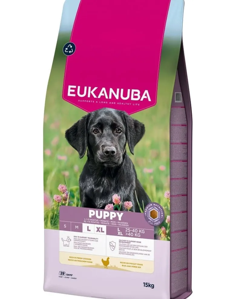 EUKANUBA Puppy Large Breeds Chicken 15 kg crocchette per cuccioli di grandi razze ricche di pollo fresco