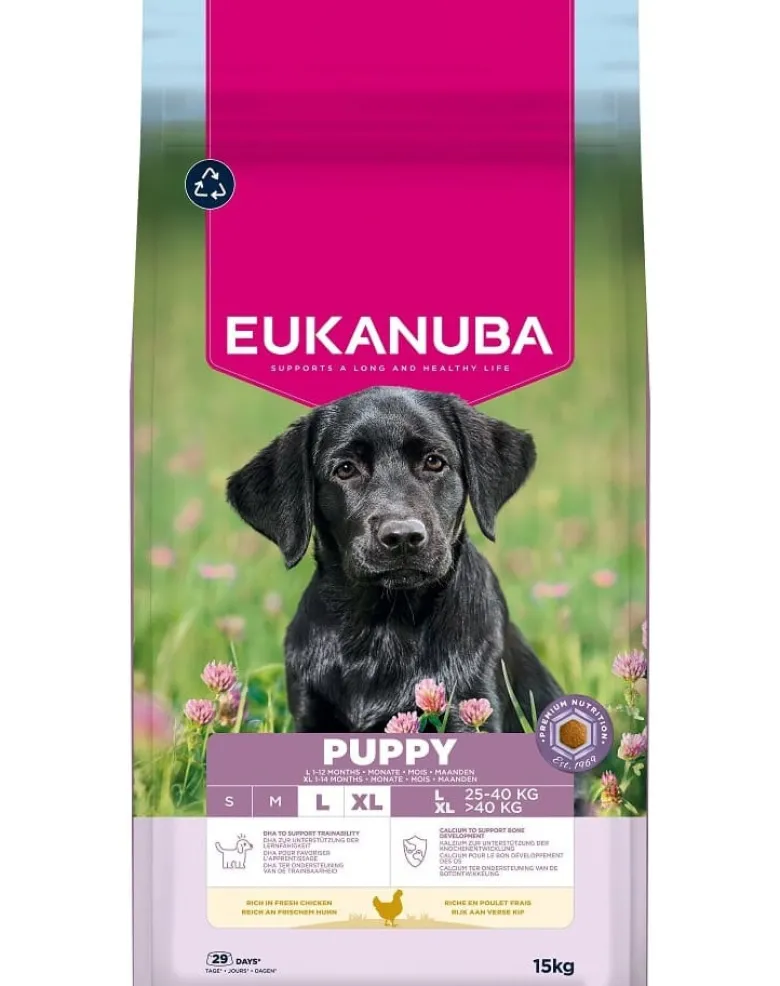 EUKANUBA Puppy Large Breeds Chicken 15 kg crocchette per cuccioli di grandi razze ricche di pollo fresco