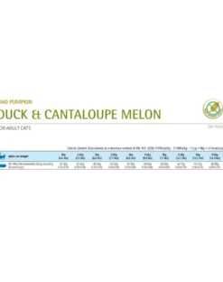 FARMINA N&D Cat Pumpkin Duck & Cantaloupe Melon 300g