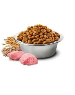 FARMINA N&D Low Grain Chicken & Pomegranate Adult Cat 5 kg
