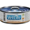 FARMINA Vet Life Convalescence 85g