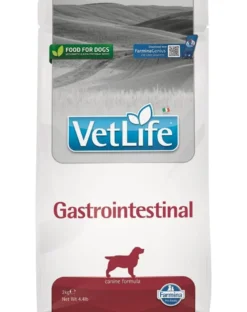 FARMINA Vet Life Gastrointestinal Dog 2kg mangime per cani con problemi digestivi + FARMINA Vet Life Dental Treat Gastrointestinal Medium/Maxi 100 g (7 pezzi) GRATIS!