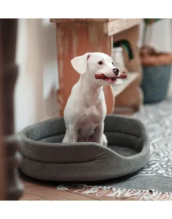FERA Letto ovale per cani 61x51x16 cm grigio