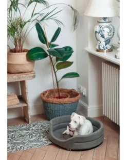 FERA Letto ovale per cani 75x62x22 cm grigio