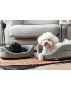 FERA Letto per cani ovale con cuscino 53x44x16 cm grigio