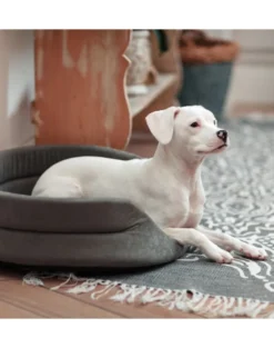 FERA Letto per cani ovale con cuscino 53x44x16 cm grigio