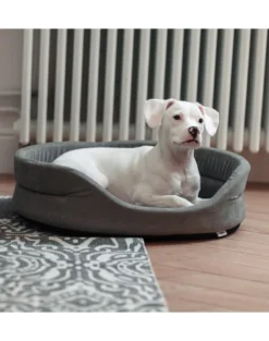 FERA Letto per cani ovale con cuscino 53x44x16 cm grigio