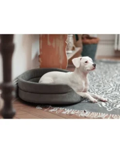 FERA Letto per cani ovale con cuscino 53x44x16 cm grigio