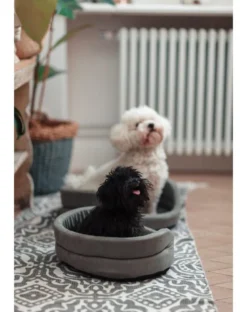 FERA Letto per cani ovale con cuscino 53x44x16 cm grigio