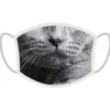 FERA Maschera di protezione gatto a pelo corto