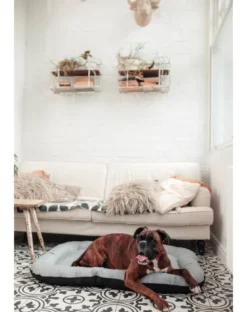 FERA Sky Ponton letto per cani XL 116 x 83 cm