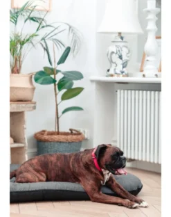 FERA Sunset Ponton letto per cani S 70 x 46 cm