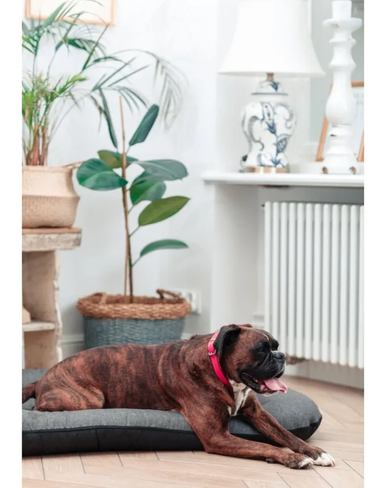 FERA Sunset Ponton letto per cani S 70 x 46 cm