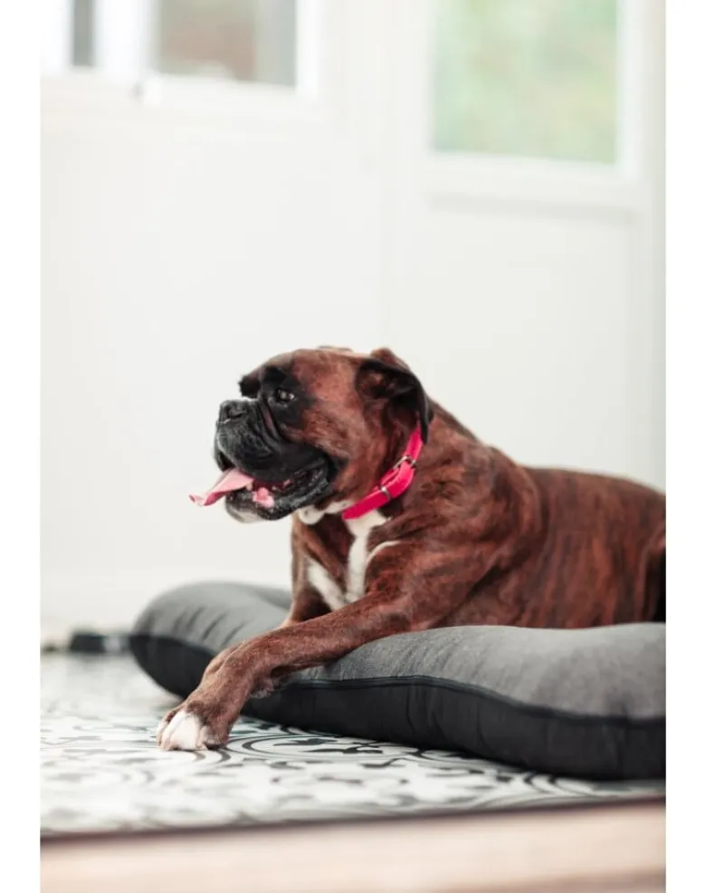 FERA Sunset Ponton letto per cani S 70 x 46 cm