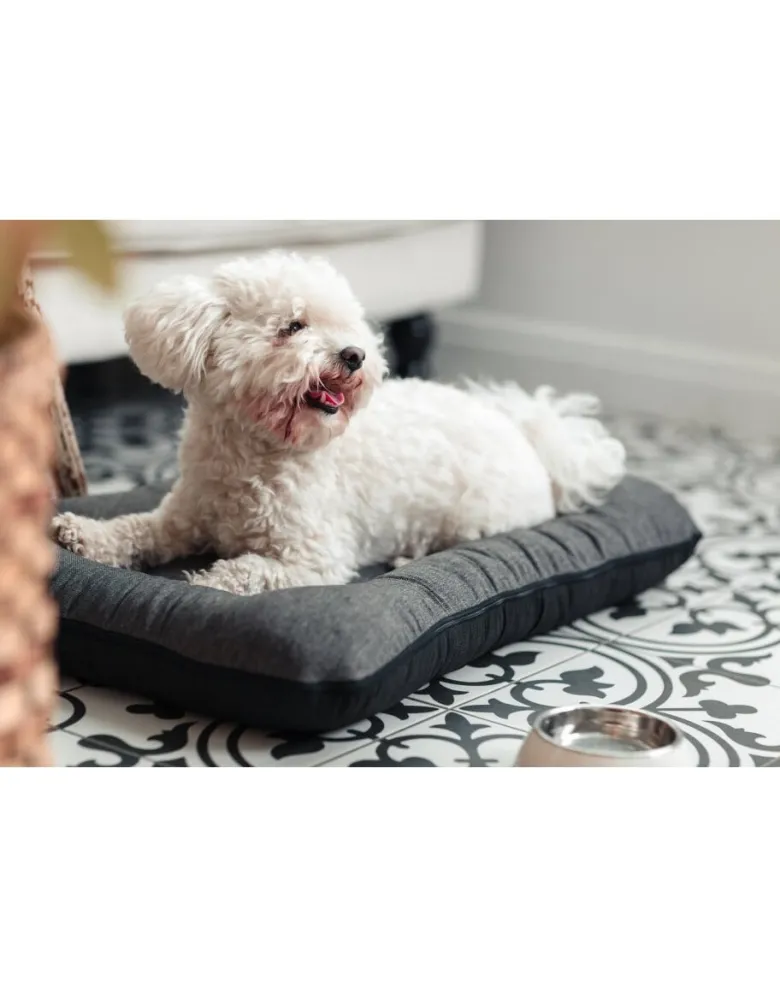 FERA Sunset Ponton letto per cani S 70 x 46 cm
